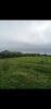 Vente Terrain   Maroc - photo 0