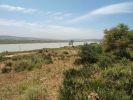 Vente Terrain Kenitra Centre ville