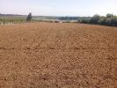 Vente Terrain Kenitra Elhadada