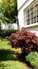 Location Villa Rabat Centre ville 8 pieces