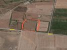 Vente Terrain Rabat Souissi 1 m2