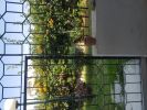 Vente Local commercial Rabat Harhoura 120 m2