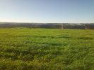 Vente Terrain Rabat Temara 2 m2