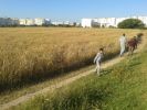Vente Terrain Sale Centre ville