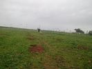 Vente Terrain Tamesna Centre ville