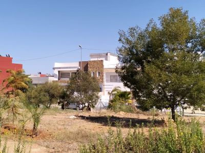 photo annonce For sale Land Centre ville Kenitra Morrocco