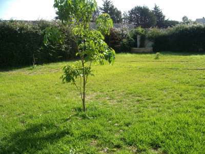 photo annonce Vente Maison-Villa Rabat 10000