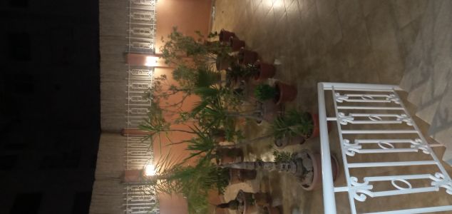 photo annonce For sale Apartment Agdal Rabat Morrocco