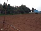 For sale Land Kenitra  Morocco - photo 1