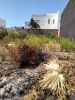 For sale Land Kenitra Elhadada Morocco - photo 2