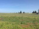 For sale Land Rabat 10000 Maroc